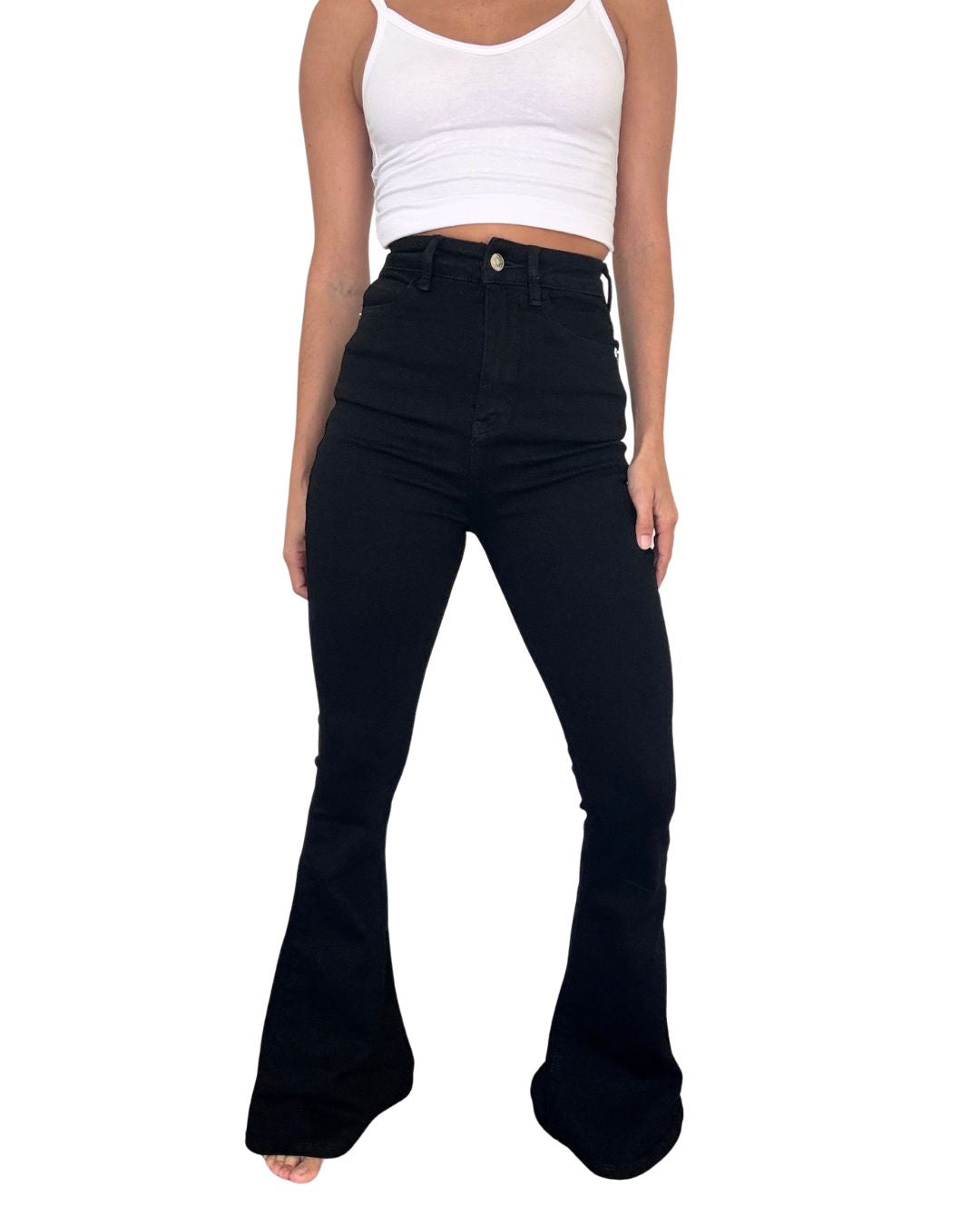 Sunny High-Waisted Flared Jean