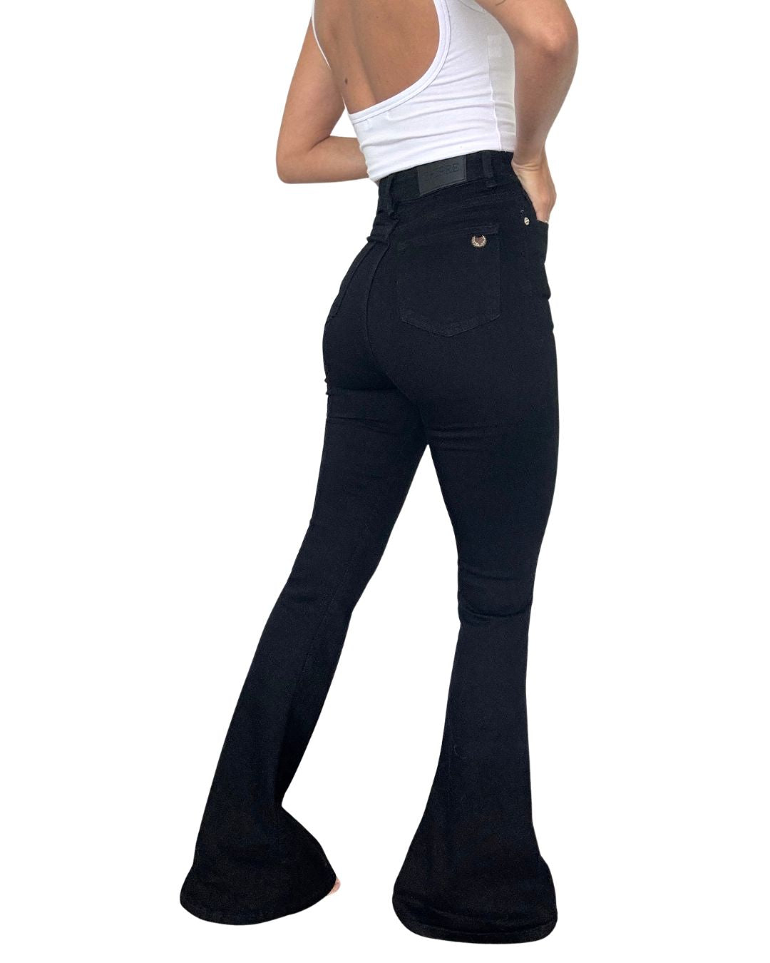 Sunny High-Waisted Flared Jean