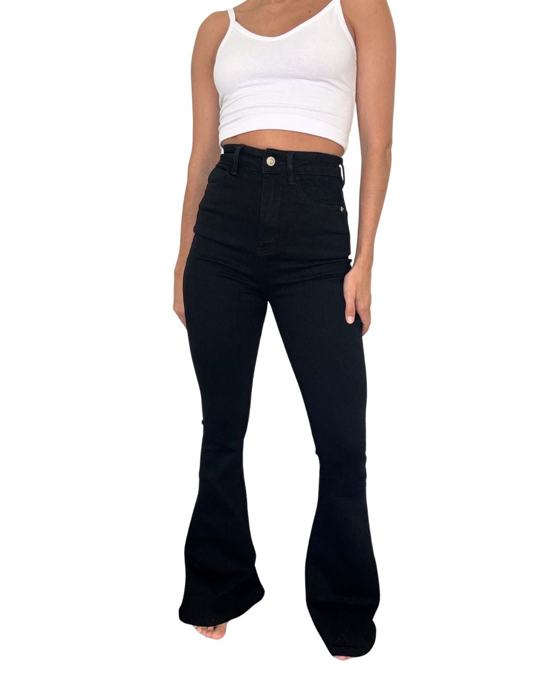 Sunny High-Waisted Flared Jean